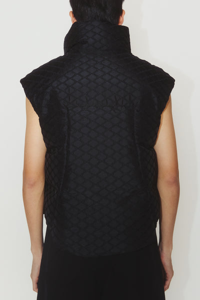ARLO DOWN VEST BLACK AMP