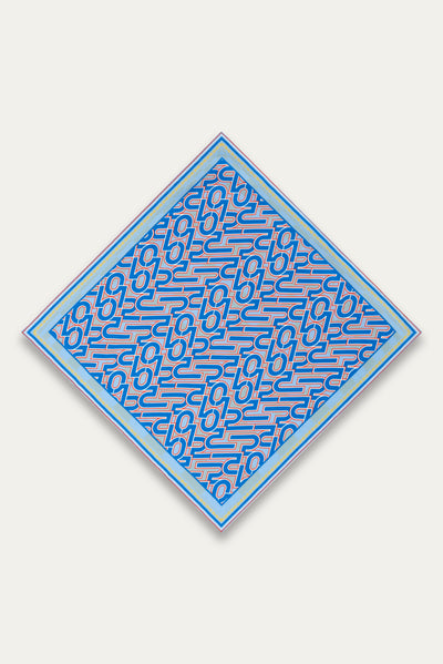 2012 SCARF BLUE PRINT